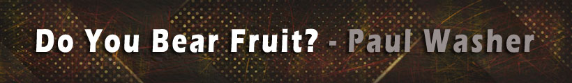 Do You Bear Fruit?